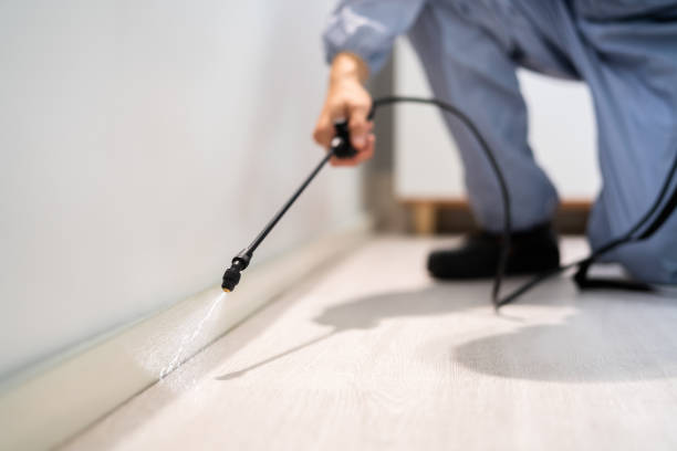 Licensed Pest Control service in Iyanbito, NM - Show Me Pest Control