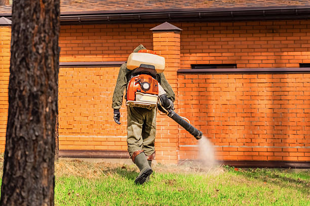 Bed Bug Clearance Verification and Documentation in Iyanbito